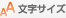 �����T�C�Y